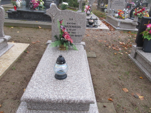 Grób Antoni Dobrzeniecki