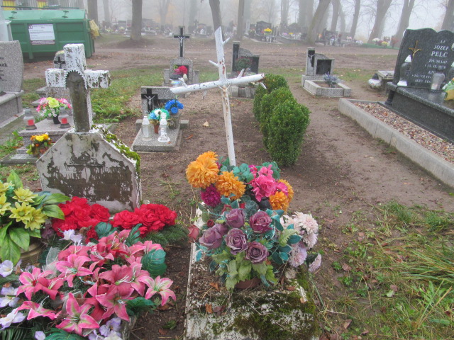  NN Srokowo - Grobonet - Wyszukiwarka osób pochowanych